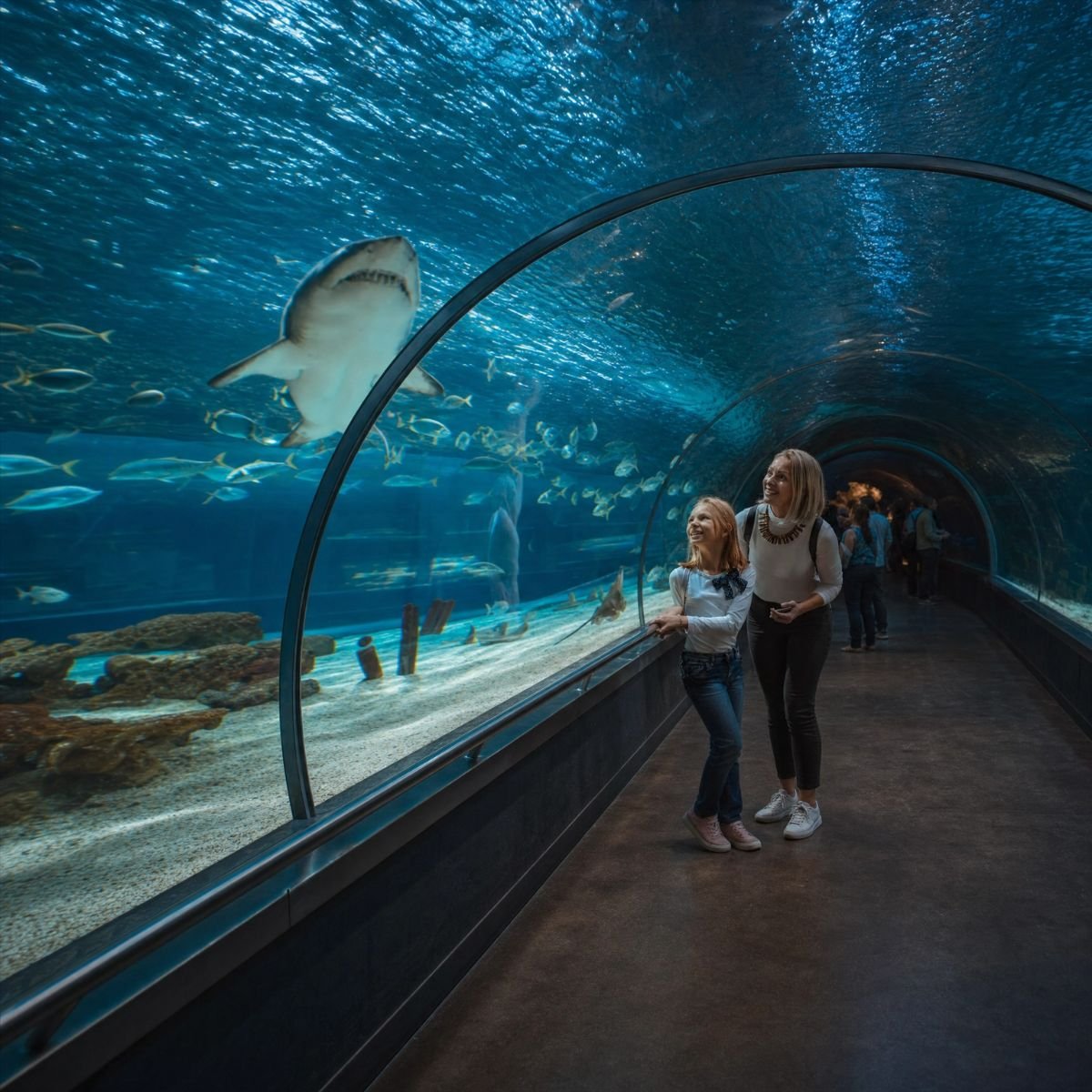 Antalya Aquarium — mother and daughter walking through the underwater tunnel with sharks and rays