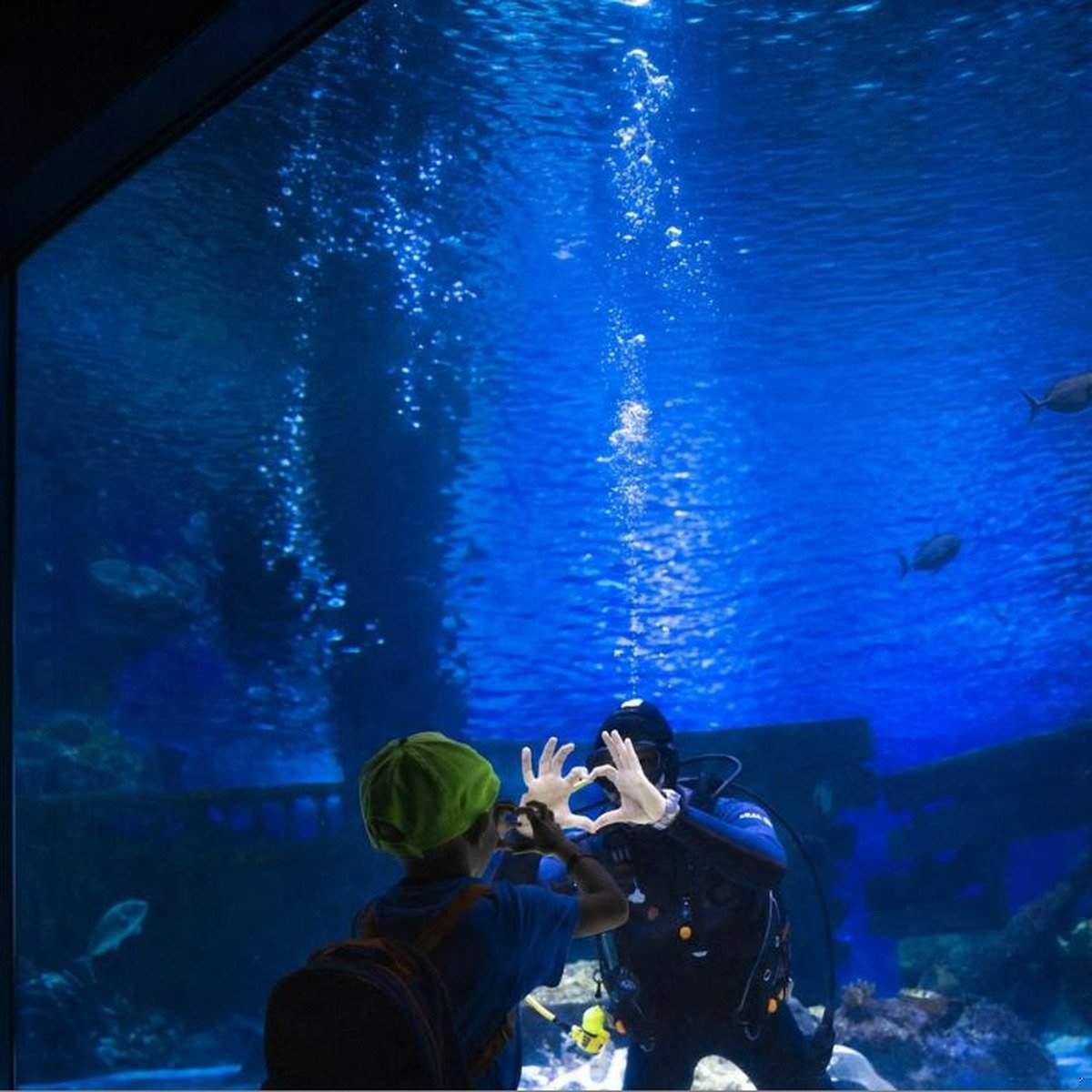 Child making a heart sign with a diver at Antalya Aquarium