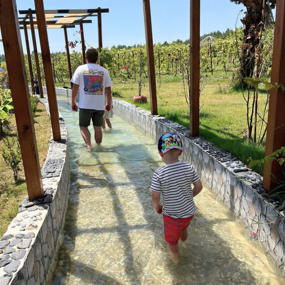Wonder Garden – Water Path