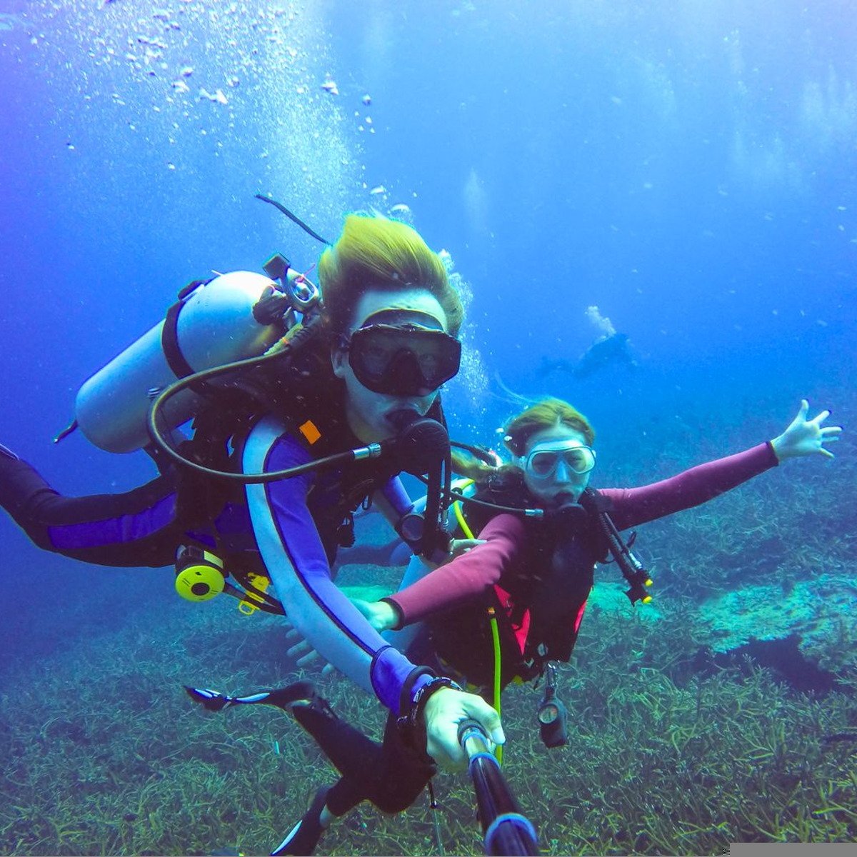 Diving – Photo 5