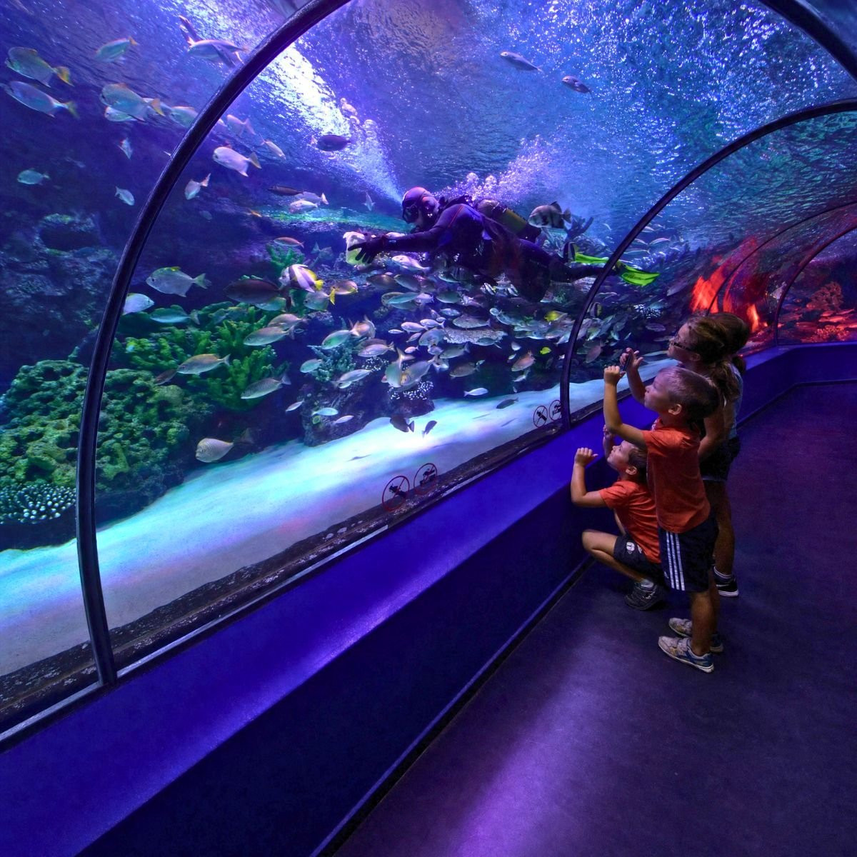 Children watching a diver and fish from inside the Antalya Aquarium tunnel