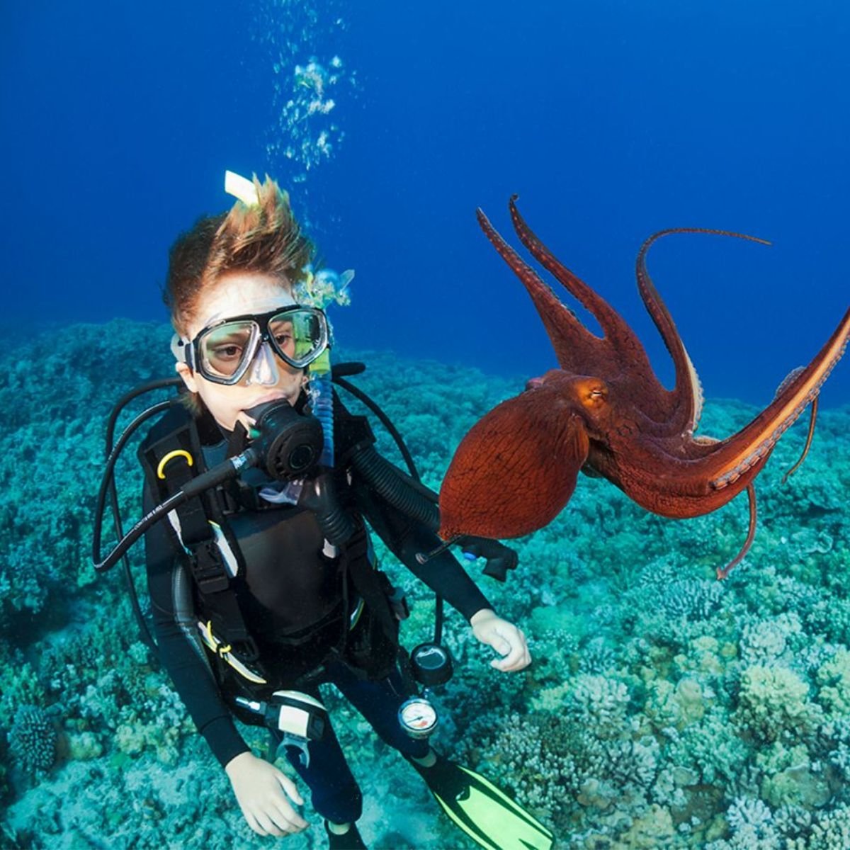 Diving – Photo 6