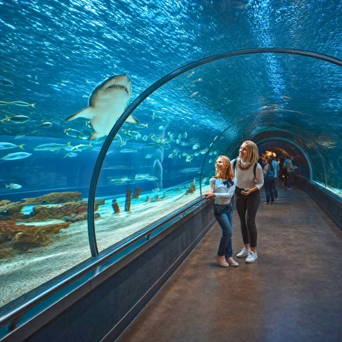 Antalya Aquarium - 1/2 Day