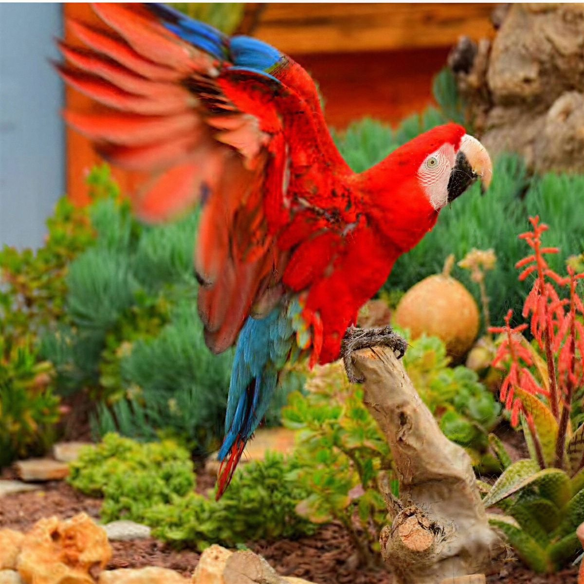 Wonder Garden Tour