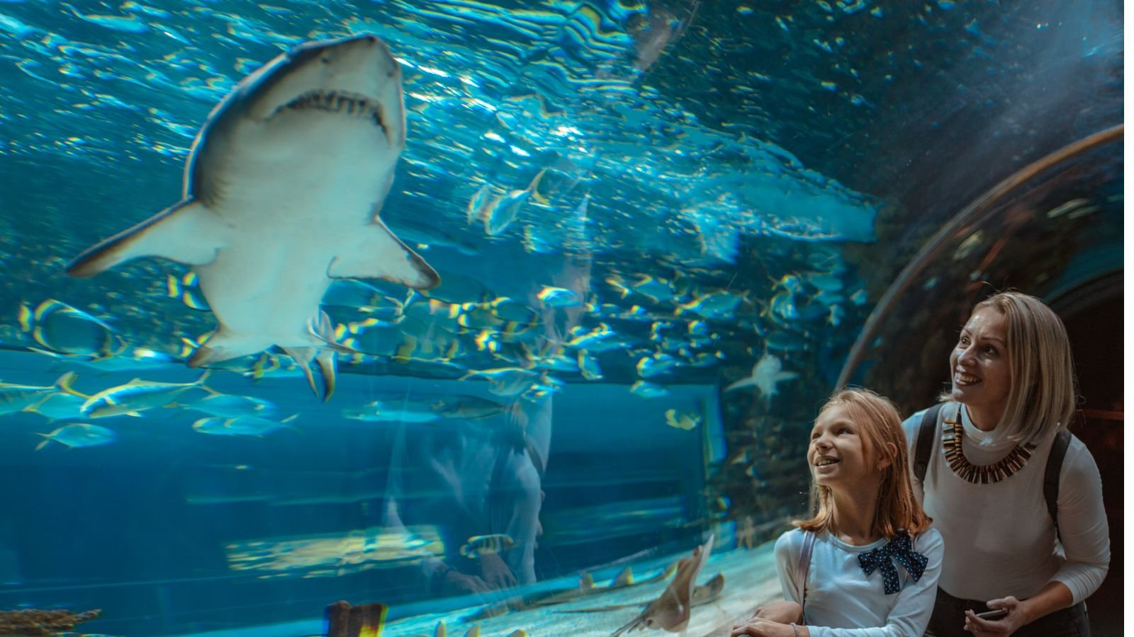 Antalya Aquarium